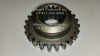 Шестерня 50-4604032-А1 (24 зуб.) МЗШ, миниатюра — 0