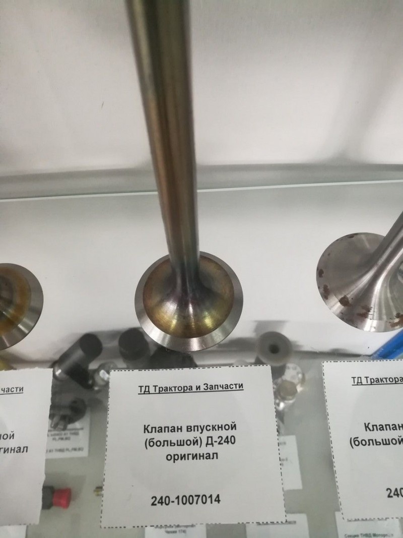Клапан впускной (большой) Д-240 оригинал — 2