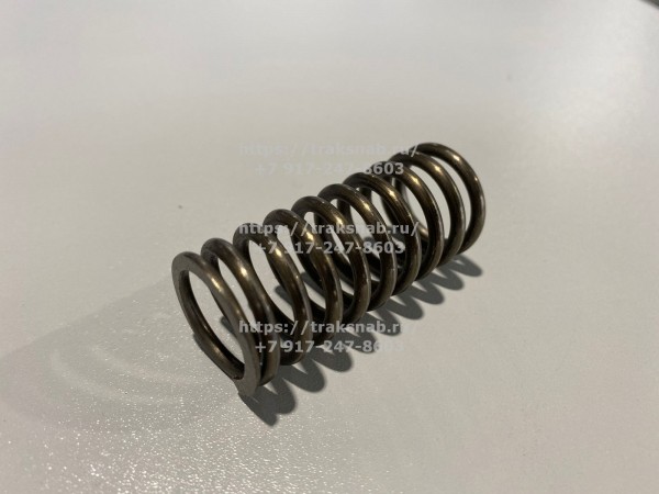 Пружина клапана наружняя Д245 — 2