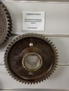 Шестерня распредвала промежуточная Д-245.35 Евро-4, миниатюра — 0