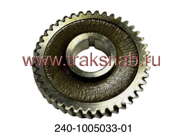 Шестерня к/вала передняя большая (42 зуба) Д-245 — 3