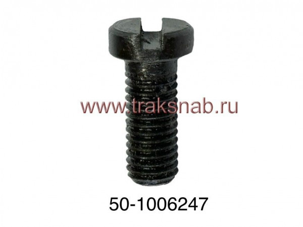 Винт крепления пластины распред/вала ММЗ — 2